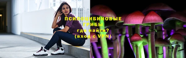 спайс Алзамай