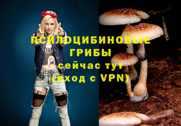 дживик Абаза