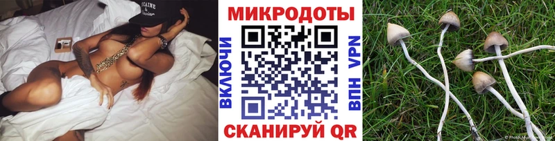 Псилоцибиновые грибы Magic Shrooms  Чегем 